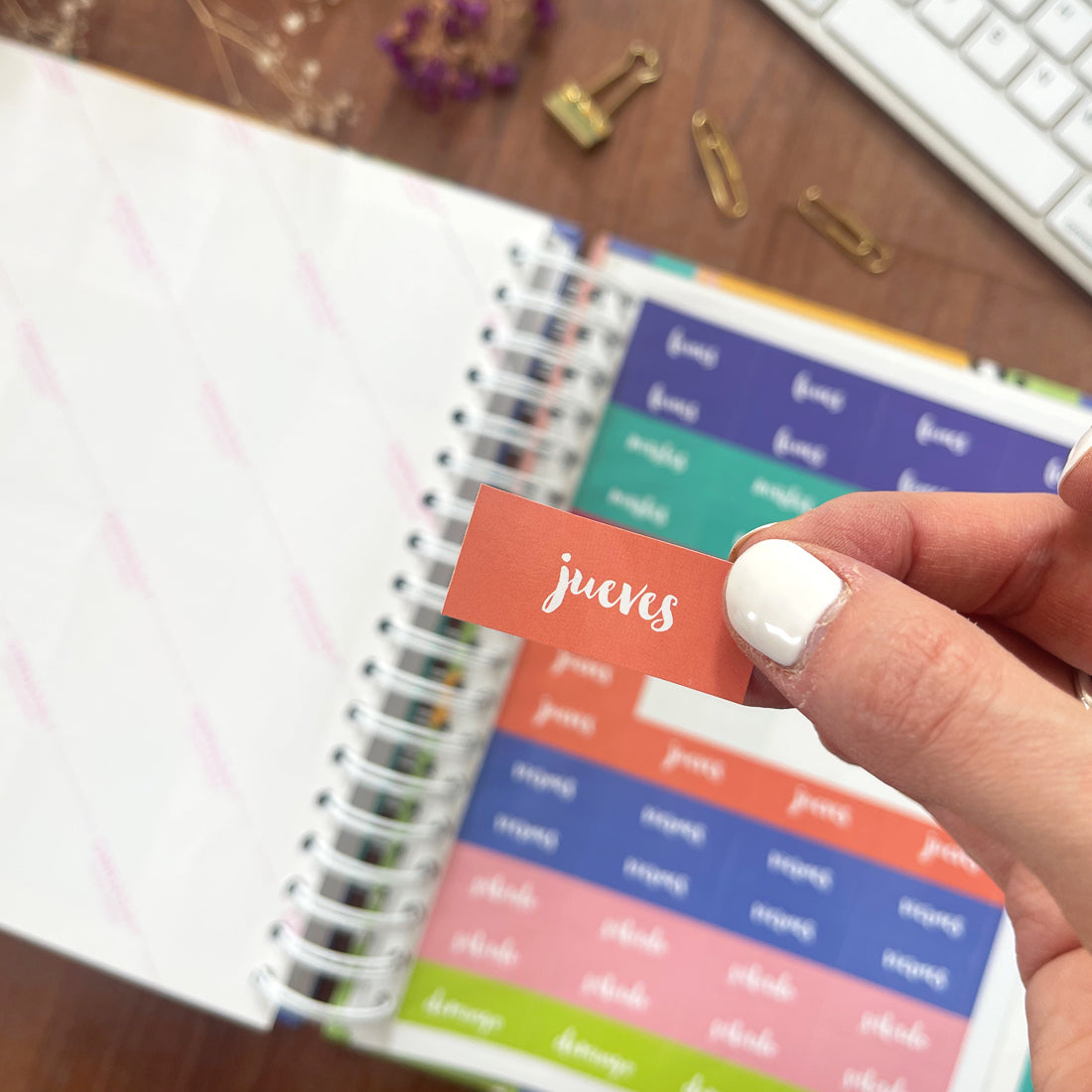 Agenda/Libreta Pistache