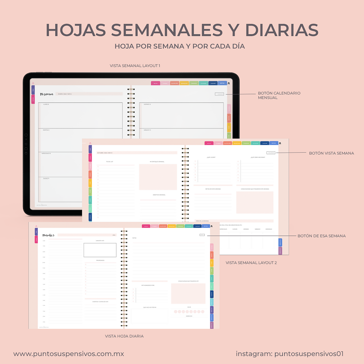 Agenda Digital Colores