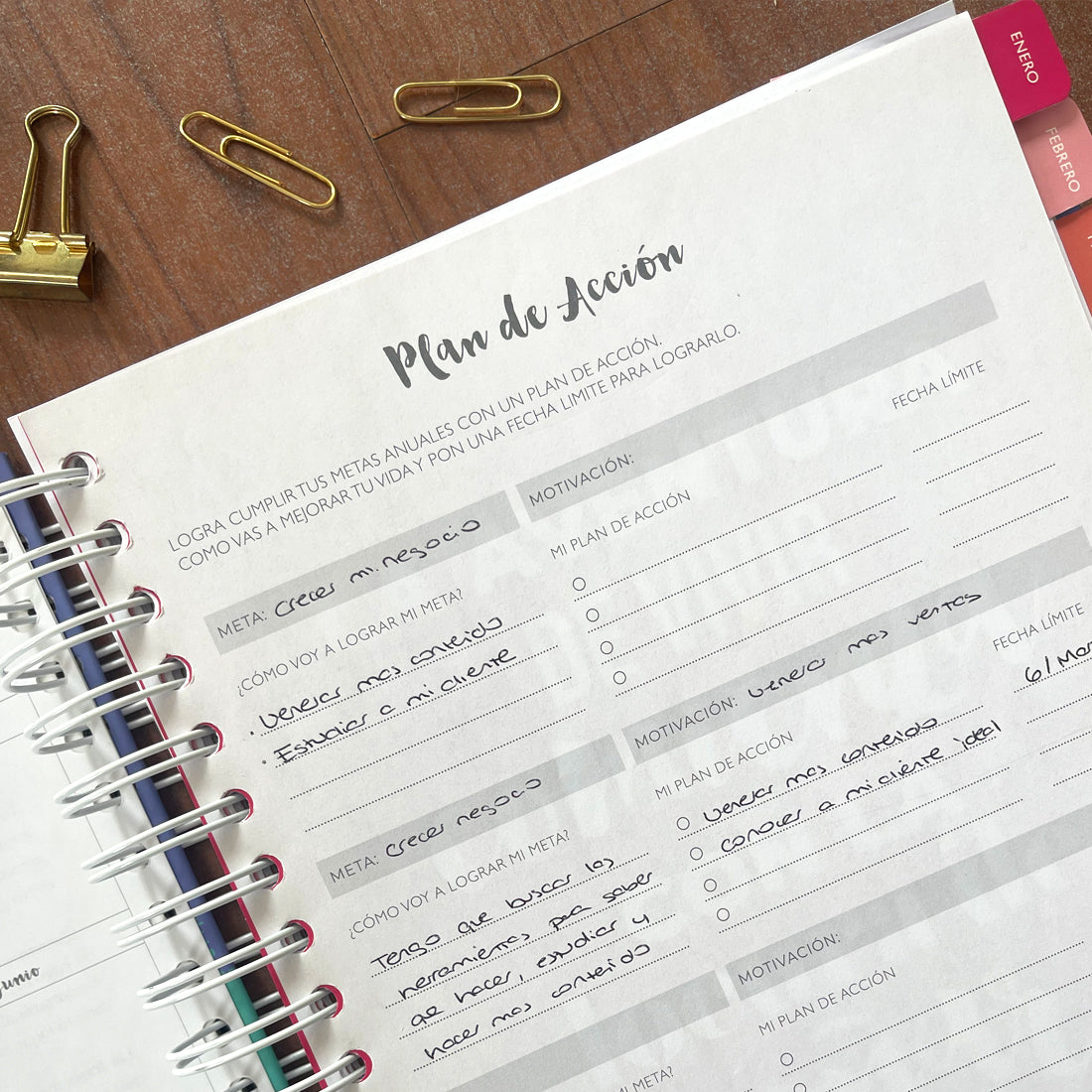 Agenda/Libreta Pistache